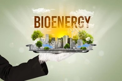 Bioenergy: Tapping into Nature's Biomass for Clean and Reliable Power