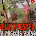 Download Full  Selina Tested (Episodes 1 – 12) -Full Videos #Arewapublisize
