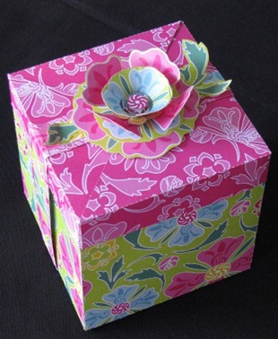 2011 02 11 LRoberts Cupcake Box Green