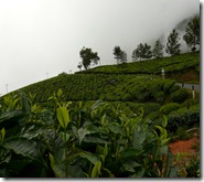 P1080936