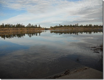 Morning at Fool Hollow Lake, Show Low, Arizona