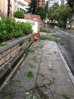 Typhoon Vincente