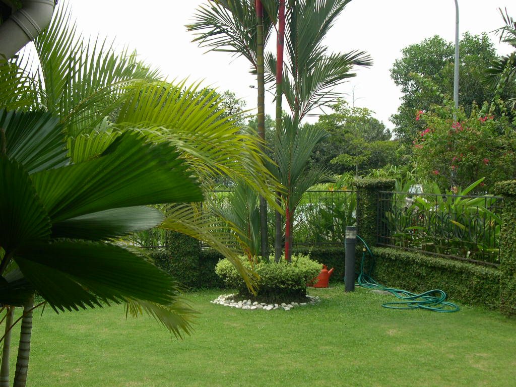 Luxury Home Gardens