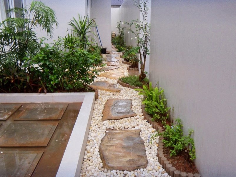 taman minimalis belakang rumah yang inspiratif