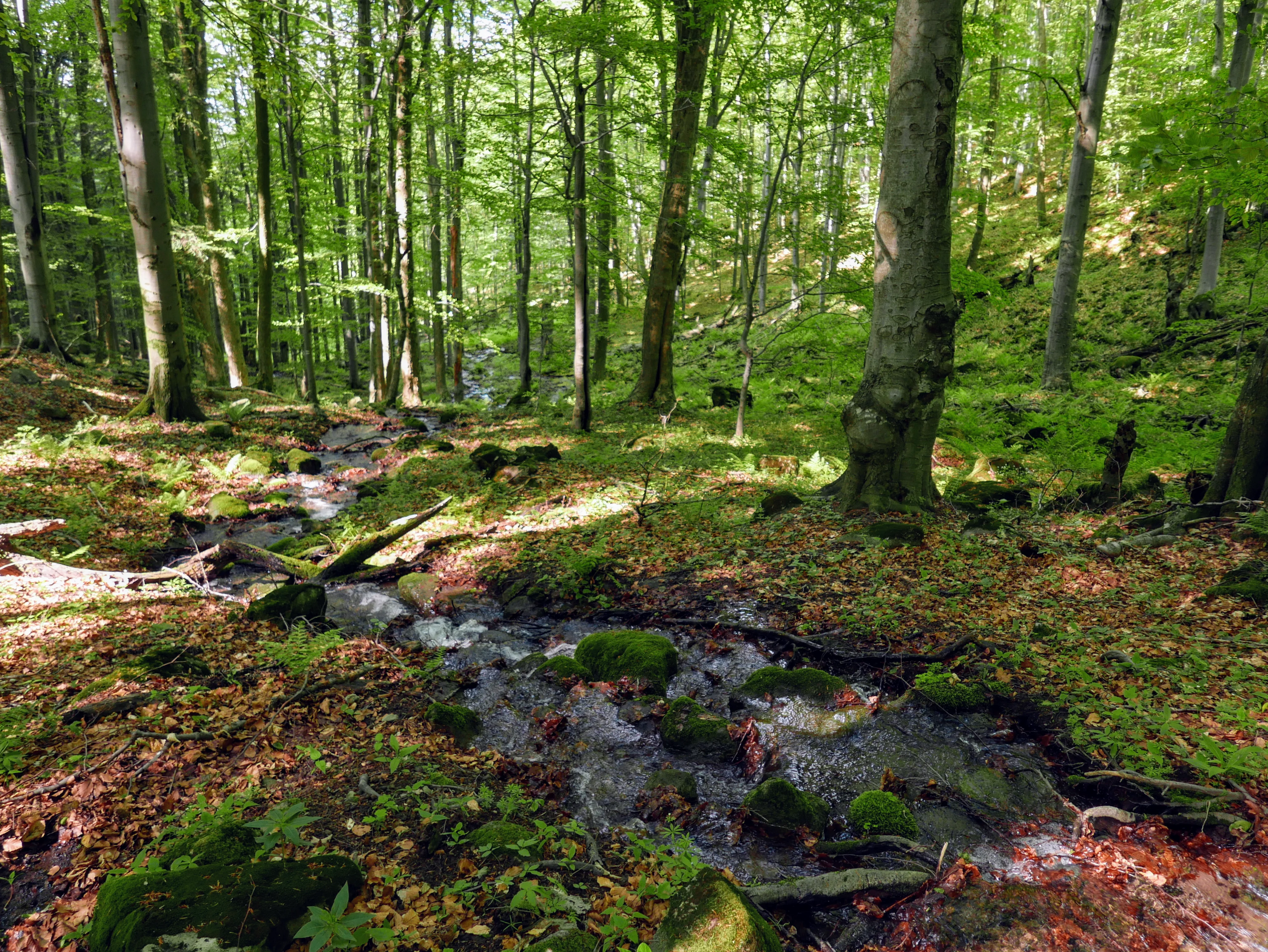 Bystrzańska Dolina, Słowacja