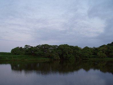 P6170079.jpg