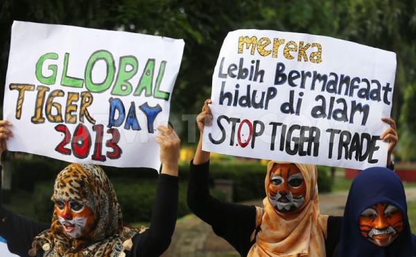 Global Tiger Day