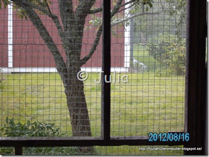 PICT0821