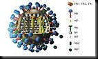 138px-Flu_und_legende_color_c