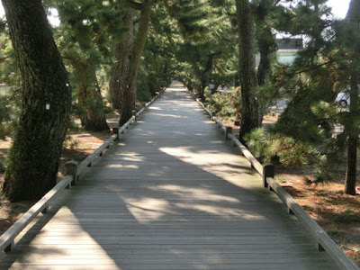  三保の松原・神の道