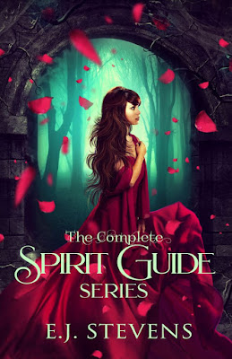 Spirit Guide YA series E.J. Stevens