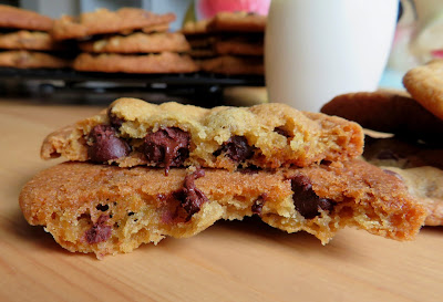 World's Best Chocolate Chip Cookies