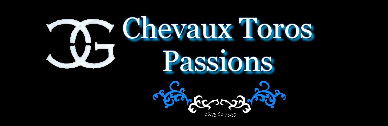 Chevaux Toros Passions