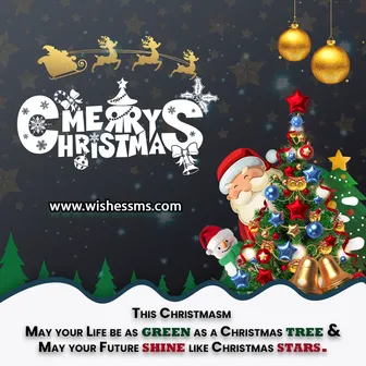 christmas wishes, merry christmas wishes, christmas wishes 2024, merry christmas wishes 2024, happy christmas wishes, xmas wishes, merry christmas wishes text, wishing you a merry christmas, merry xmas wishes, best christmas wishes, merry christmas wishes messages, xmas wishes 2024, merry christmas 2024 wishes, christmas wishes messages, merry christmas wishes text 2024, 2024 christmas wishes, wishing you a very merry christmas, christmas wishes in english, best christmas wishes 2024, merry christmas wishes 2024, christmas 2024 wishes, greetings merry christmas wishes, best merry christmas wishes, merry christmas wishes whatsapp messages, merry christmas wishes for facebook