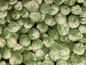 Brussel Sprout patchwork fabric 