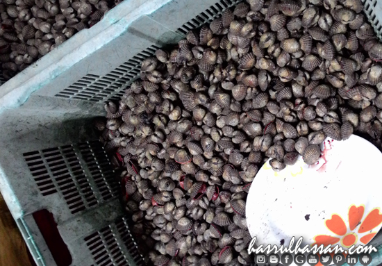 Kerang Rebus Warung Udang Lipan Parit Buntar