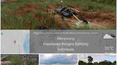 Hutan Lindung Beralih Fungsi Jadi Lahan Pertambangan Timah Ilegal 