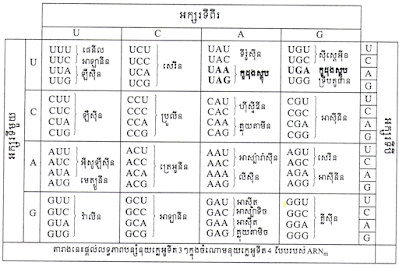 តារាងក្រមសេនេទិច, ក្រមសេនេទិច, សេនេទិច