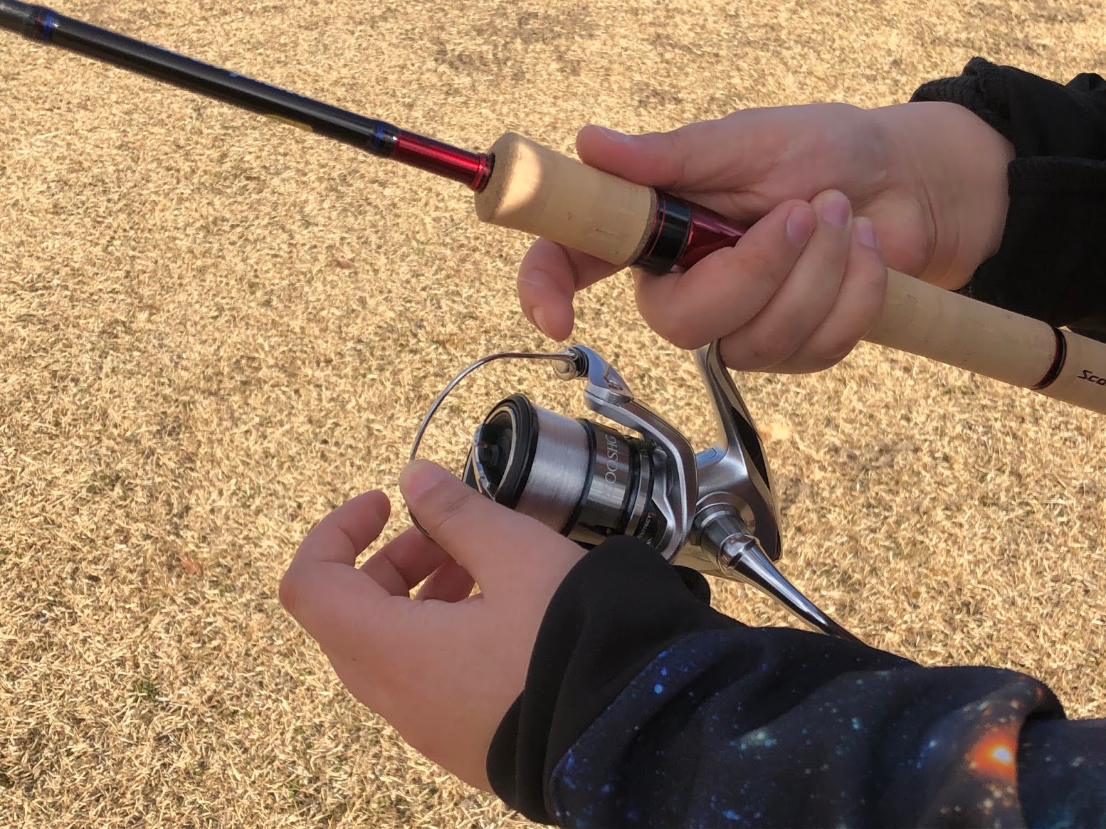 99以上 スピニング キャスト ベール 位置 無料の魚の画像 99以上 スピニング キャスト ベール 位置 無料の魚の画像