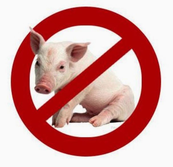Alasan mengapa daging babi diharamkan  dalam islam secara  