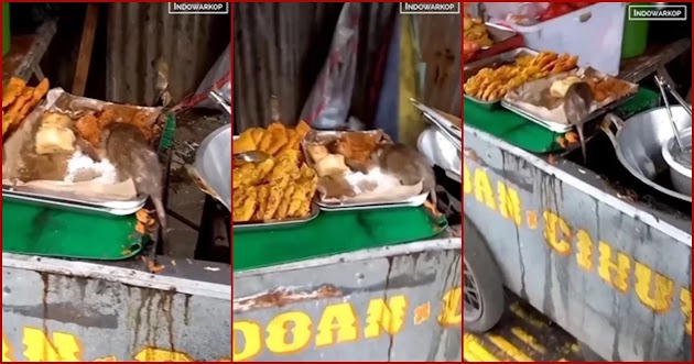 Seekor Tikus Ikut Makan Gorengan yang Dijual Ini Bikin Jijik