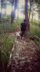 Hutan-Jompie-Parepare