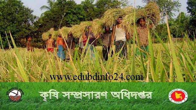 Ministry of Agriculture Job Circular 2020