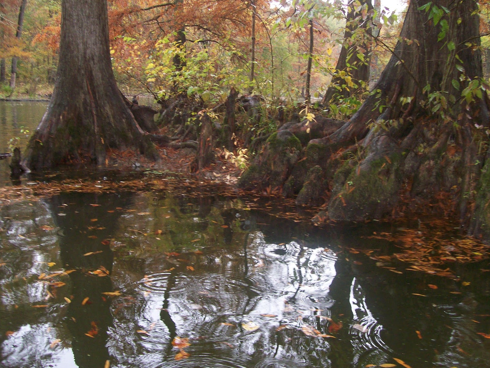 Swamp Thing Wallpaper Lovely