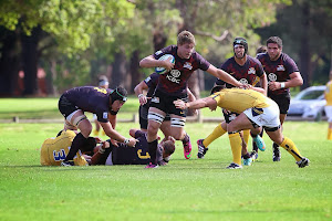 Pampas XV debutó con un triunfo en la Pacific Cup