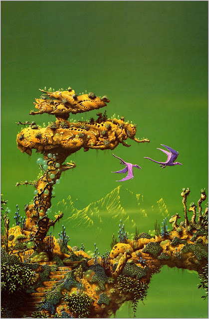 Tim White