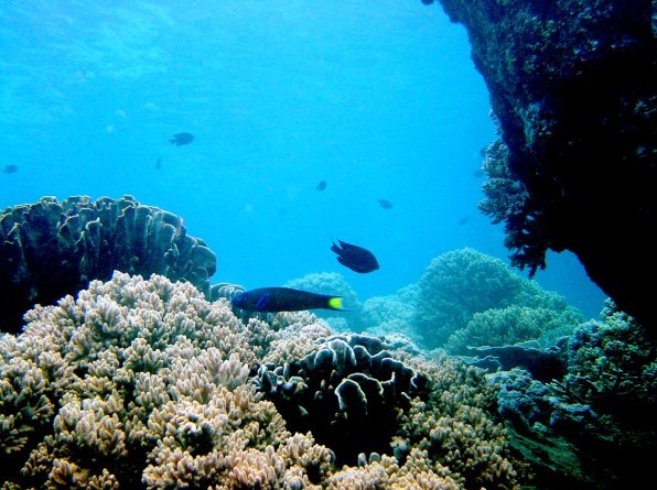 Tenggol Island Dungun Terengganu