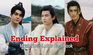 Mysterious Lotus Casebook review