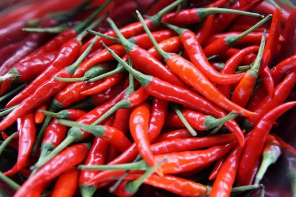 Red hot pepper extends life and speeds up the metabolism