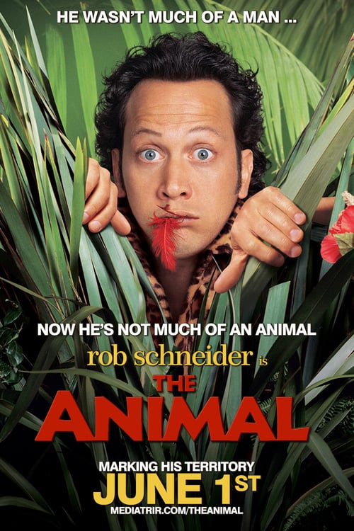 Animal 2001 Film Completo Streaming