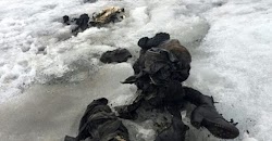  Μία μακάβρια ανακάλυψη έκανε υπάλληλος χιονοδρομικού κέντρου στη νότια Ελβετία, ο οποίος βρήκε τα πτώματα ζευγαριού που είχε χαθεί πριν από...