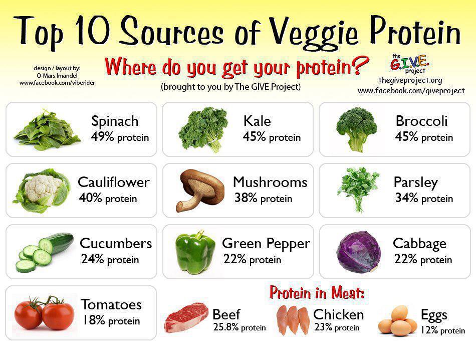 Get Your Energy On!: To 10 Sources Of Vegetable Protein