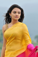 Nikitha, Narayan, Cute, Saree, Photos