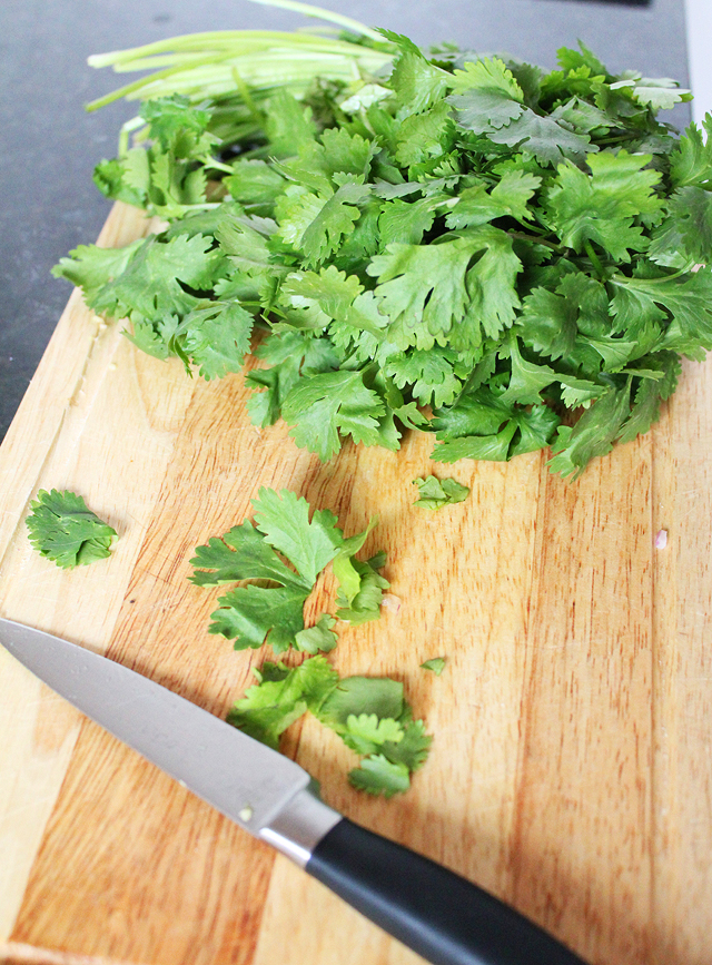 cilantro