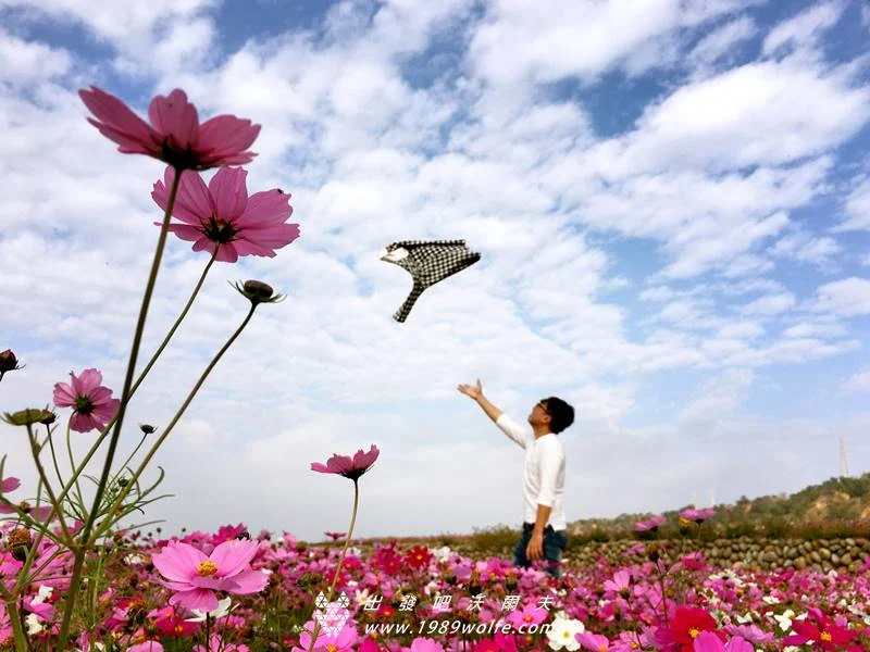 出發吧！沃爾夫.