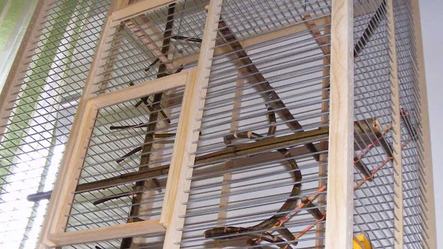 Building A Bird Cage Plans