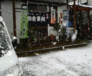 今日は、朝から吹雪でした。