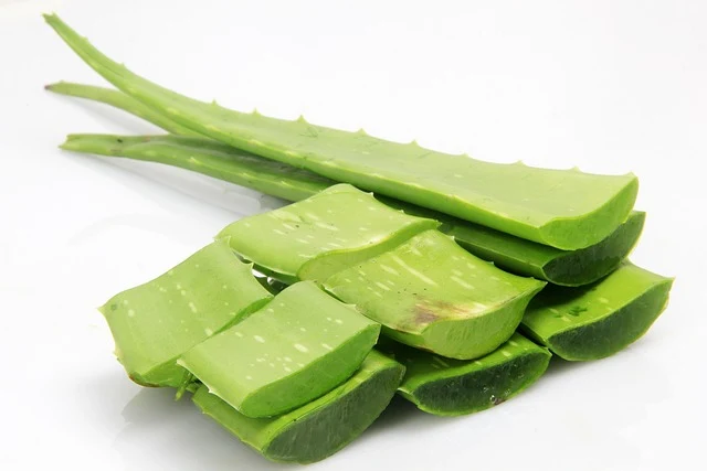 Is Aloe Vera Good For Your Face For Acne?