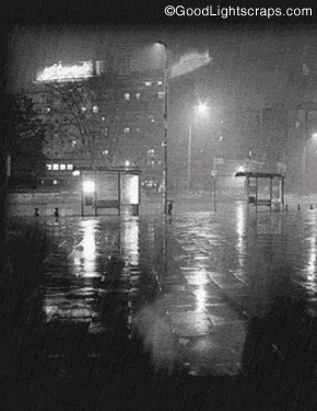 rain-3