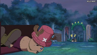 ワンピースアニメ スリラーバーク編 345話 チョッパー Tony Tony Chopper | ONE PIECE Episode 345 Thriller Bark