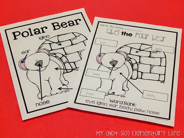 Polar Bear Labeling Activity