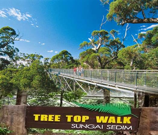 sungai sedim tree top walk