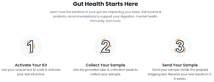 Ombre Gut Health Reviews 2022: Does It Work For Gut Health?