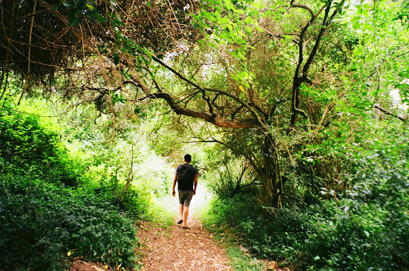 bushwalking Coolendel camping NSW