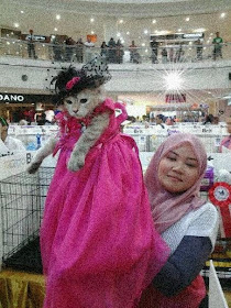 foto kucing cantik kiriman Lieza Marcella 01