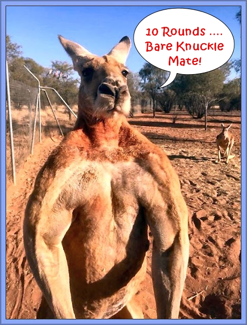 Roger The Kangaroo - 10 Rounds Bare Knuckle